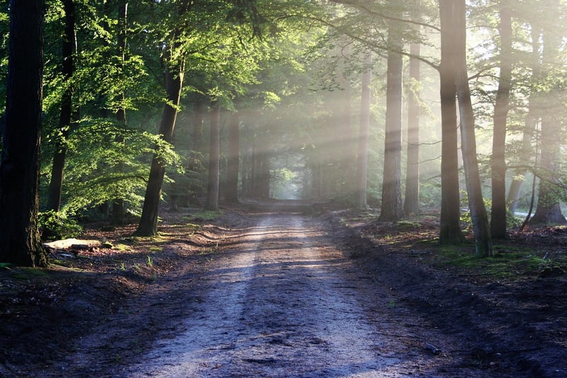 Secret Pathways
